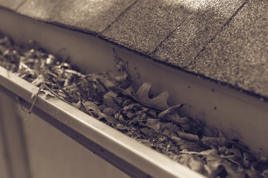 Henrico Gutter Cleaning