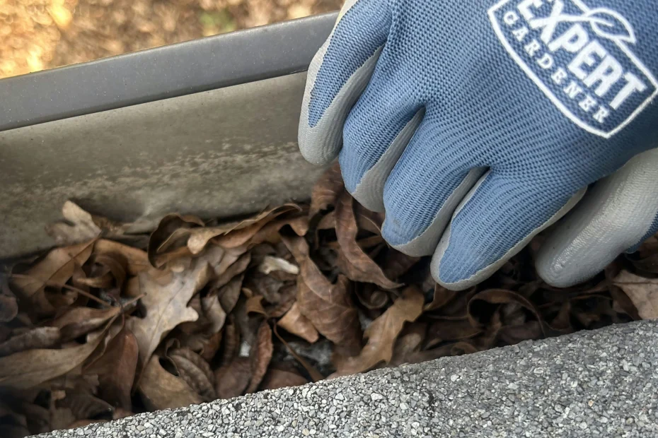 Henrico Gutter Cleaning
