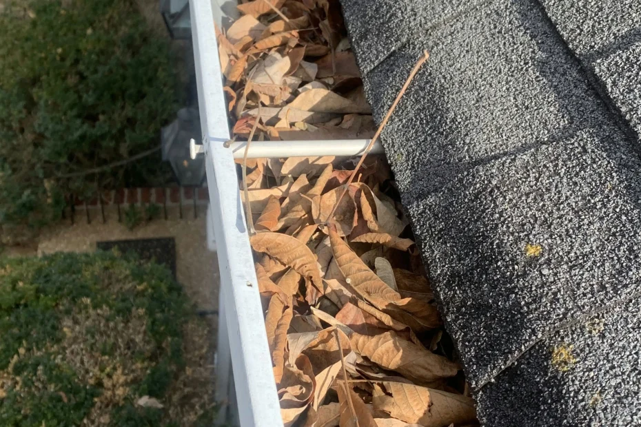 Henrico Gutter Cleaning