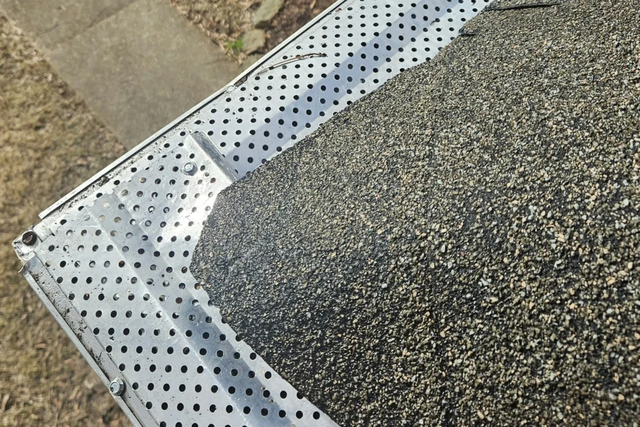 Henrico Gutter Cleaning