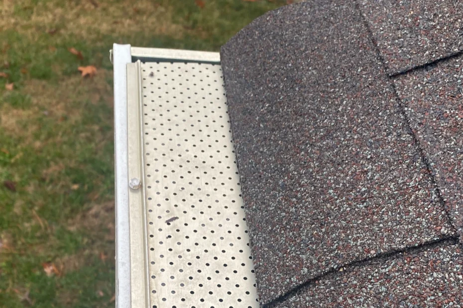 Henrico Gutter Cleaning